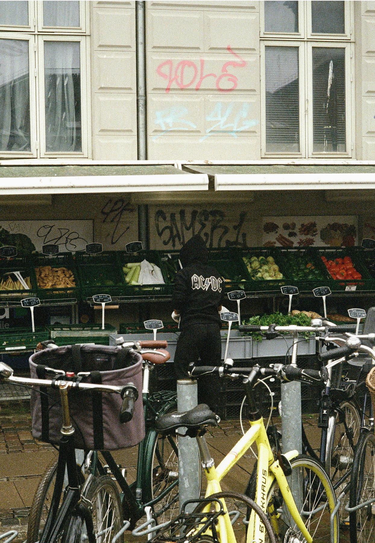 step-by-step guide, timeline visualization, interactive workshop, progress tracking